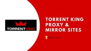 Torrentking Proxy & Mirror Sites 2023 | 5 Best Alternatives