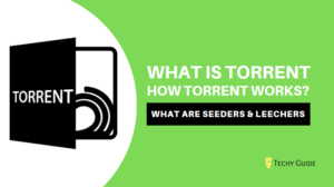 Everything About Torrents: A complete Beginner Guide 2023