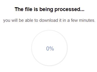 the file is being processed